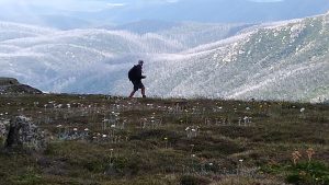 Charlotte Pass 2023 - courtesy Marylin Fooks