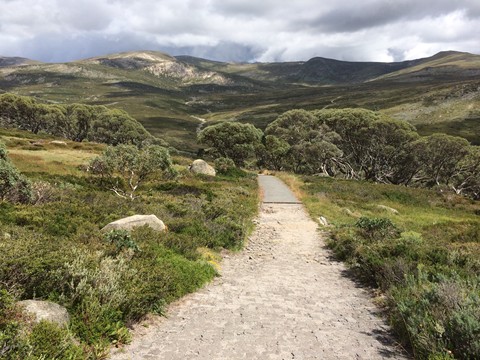 Track to Snowy River